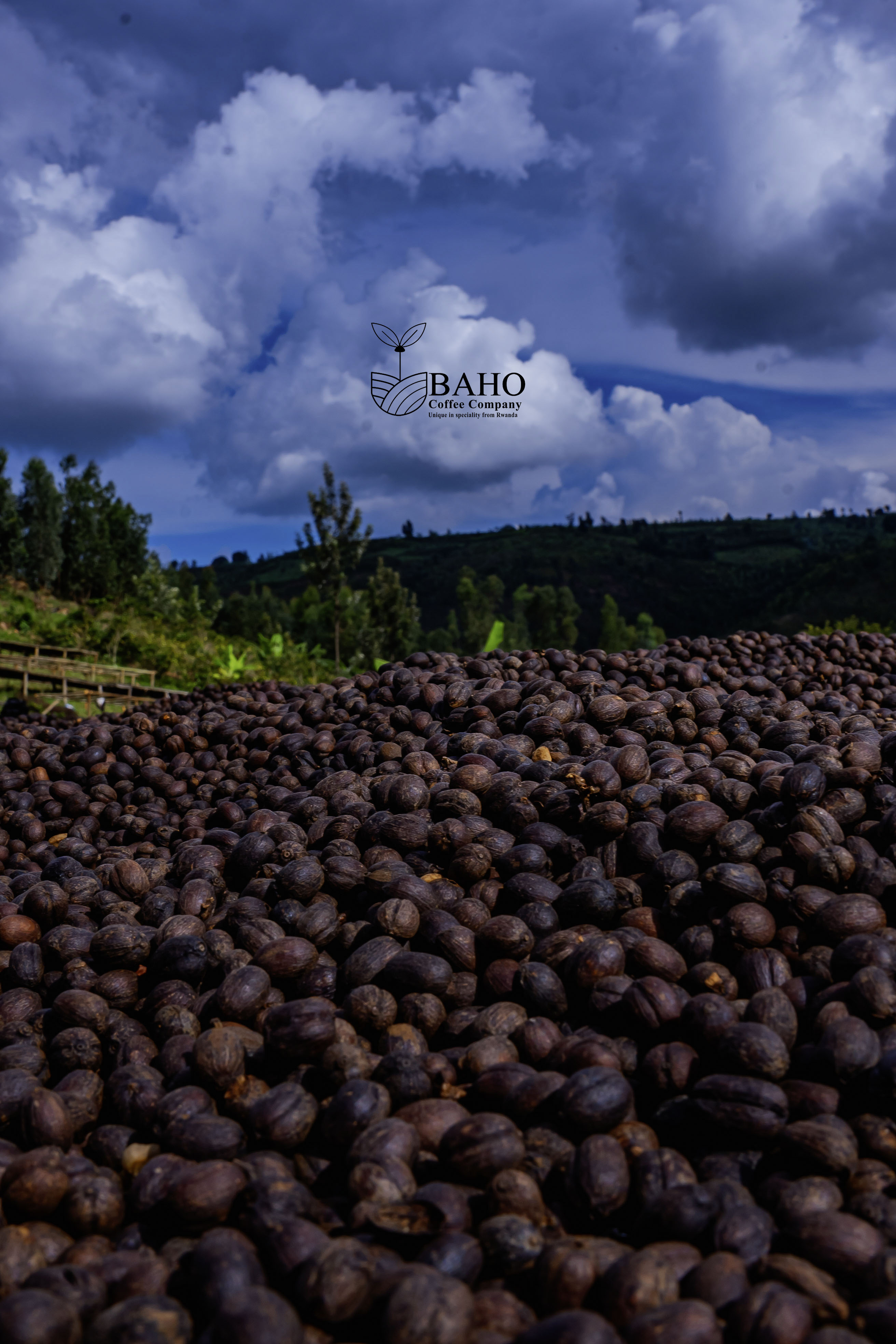 Fugi Natural Coffee