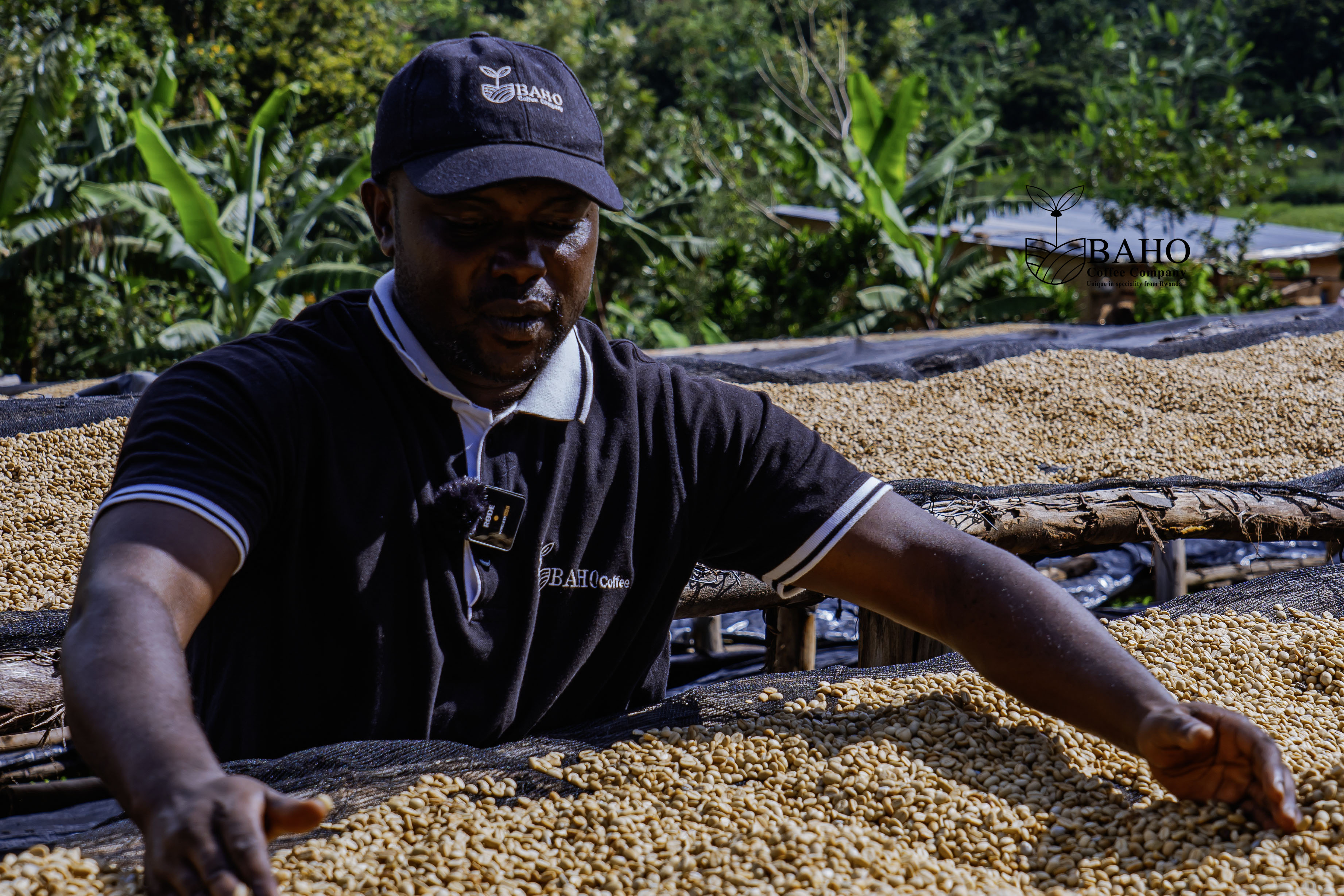 Humure Washed Coffee