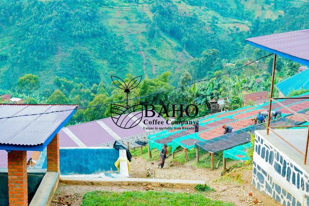 Bweyeye CWS — Best of Rwanda 2026