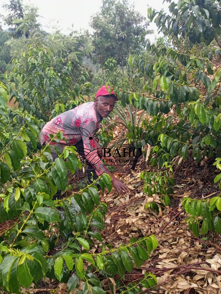 Bweyeye farmer