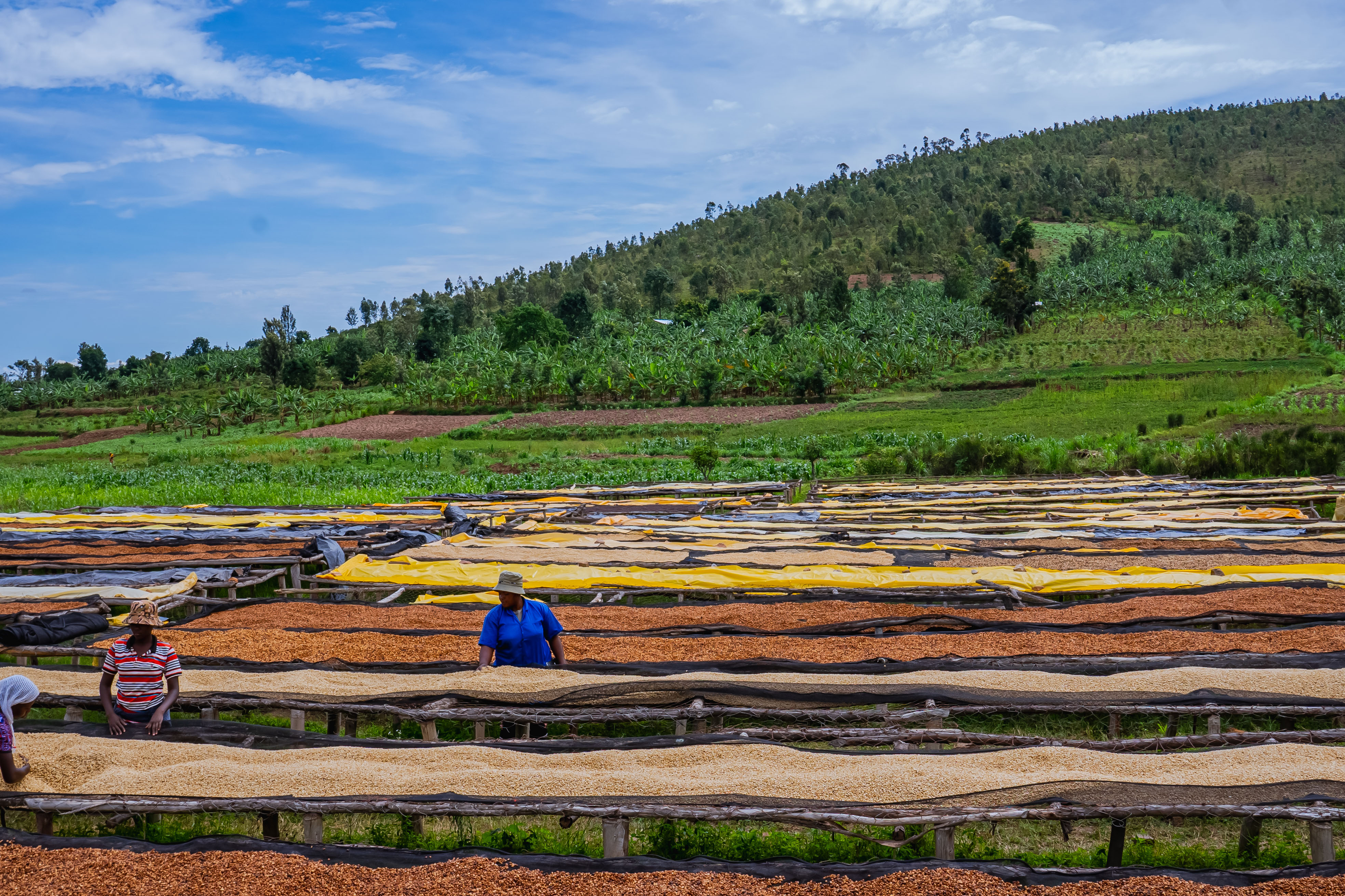 Washing Station