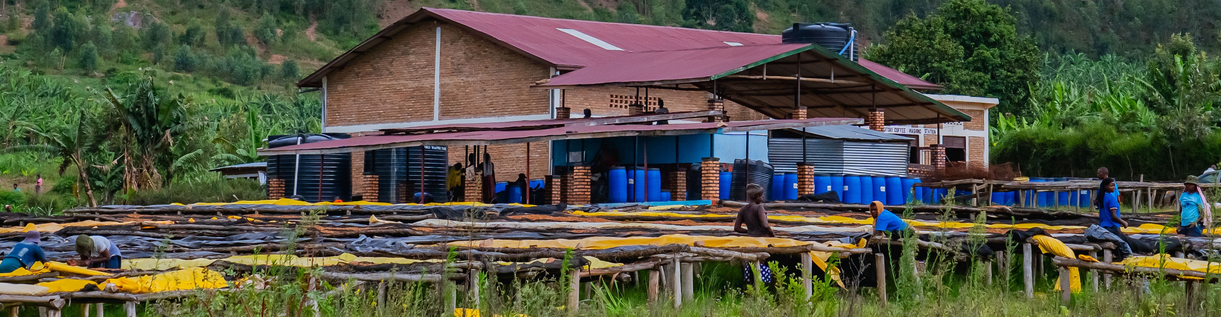 Gitoki Washing Station