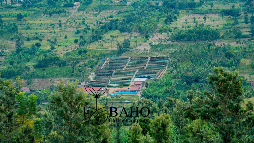 Kinazi CWS — Best of Rwanda 2026