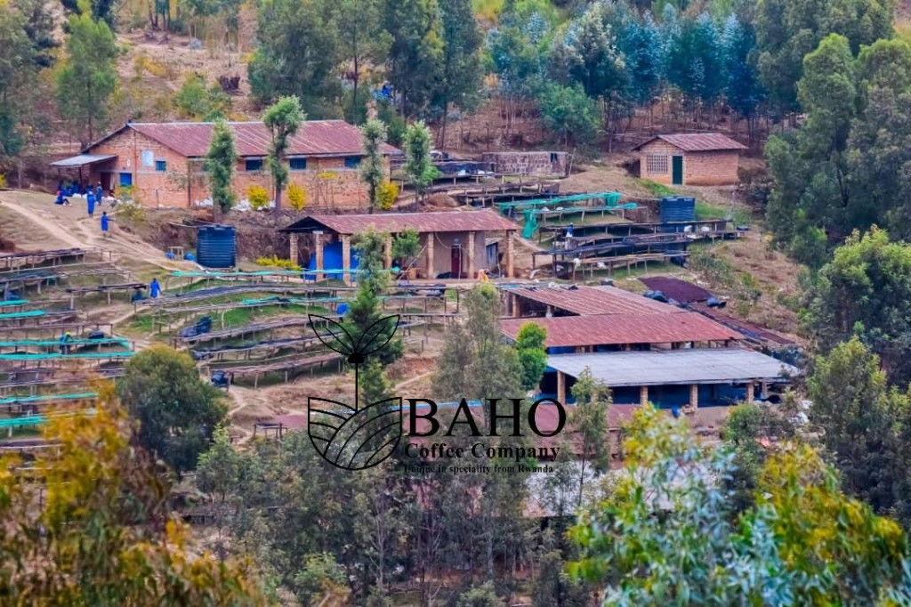 Muganza CWS — Best of Rwanda 2026