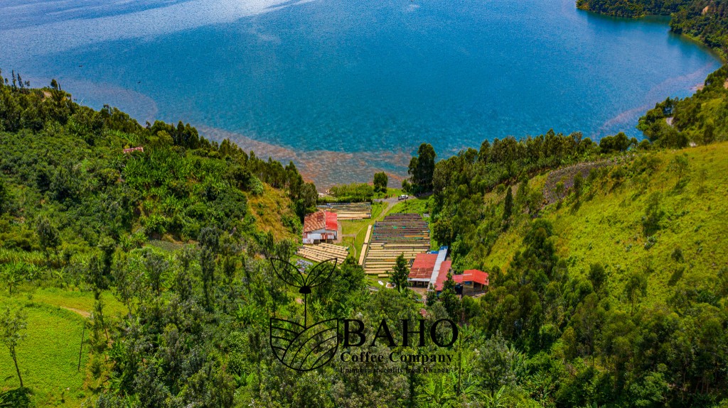 Best of Rwanda Auction 2026