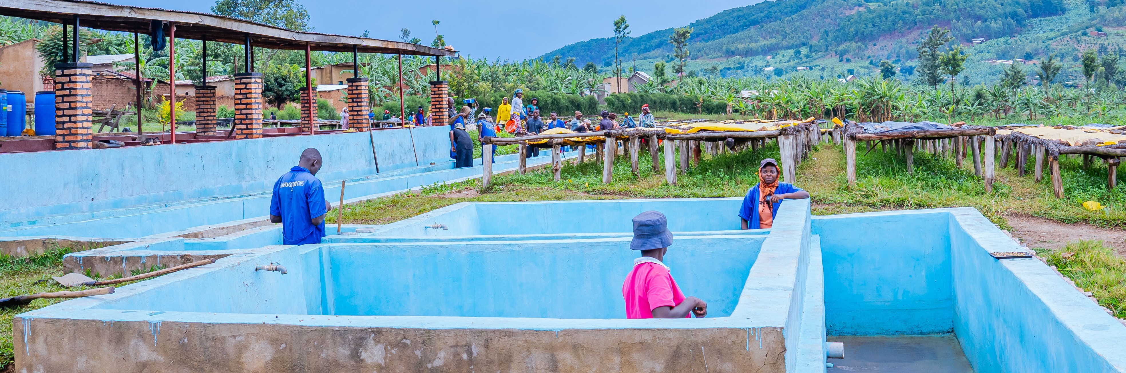 Shangi Washing Station